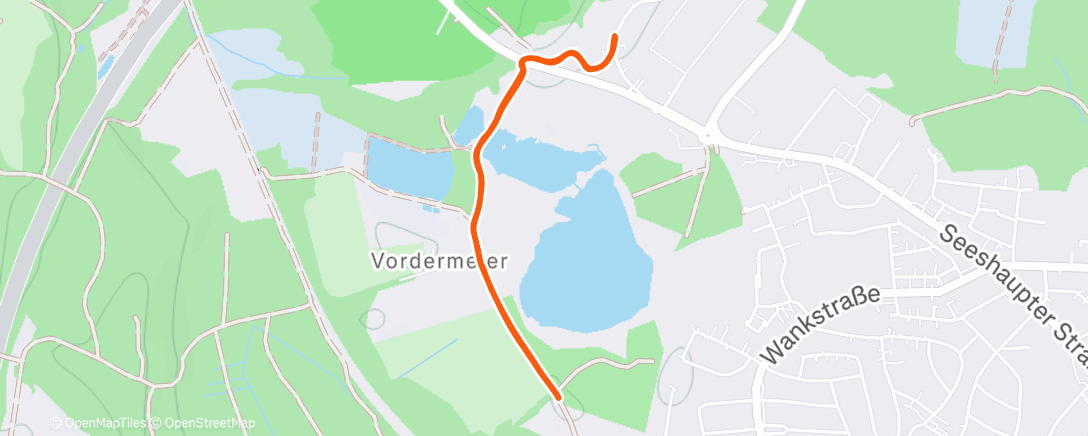 Карта физической активности (Afternoon Walk)