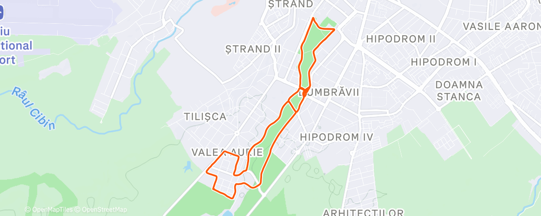 Карта физической активности (Evening Trail Run)