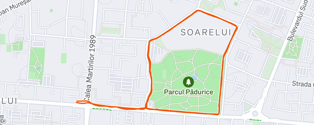 Map of the activity, Morning Run