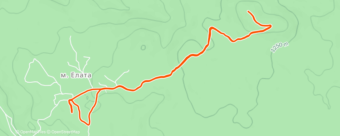 Map of the activity, Afternoon Trail Run