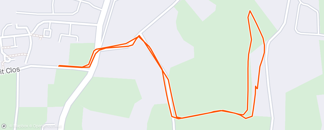 Map of the activity, Afternoon dog walk