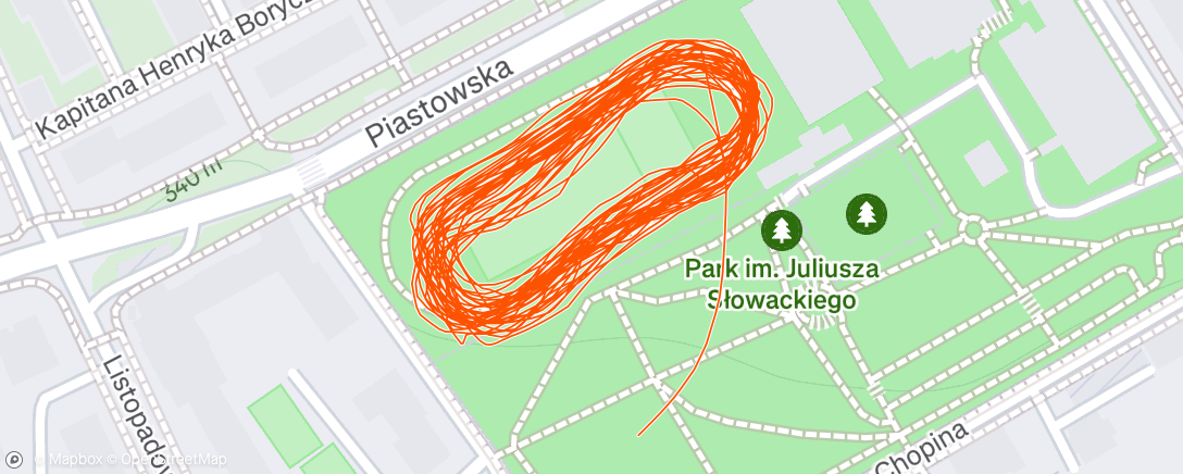 Map of the activity, Afternoon Run