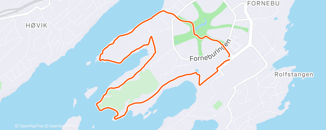 Карта физической активности (Morning Trail Run)