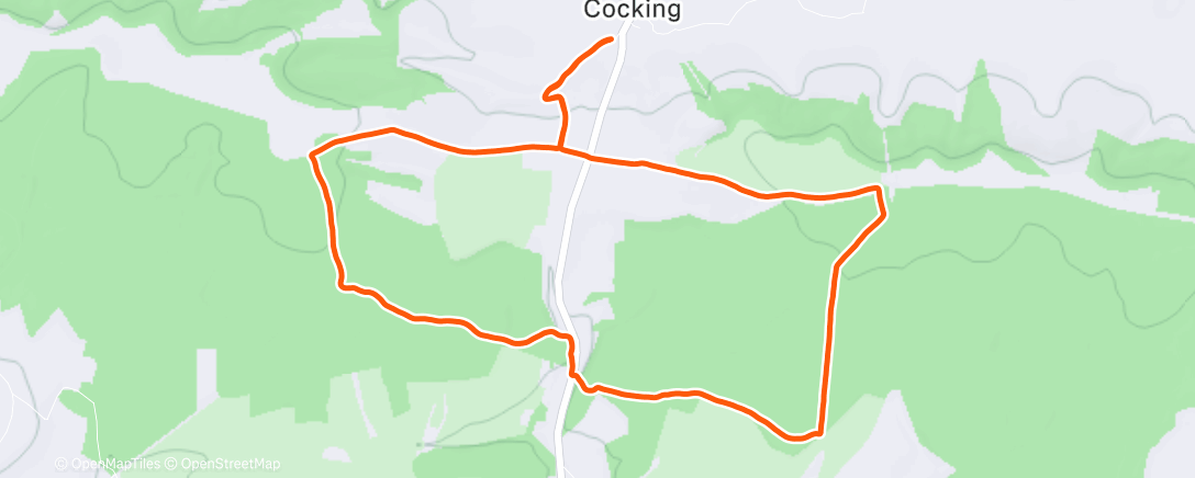 Map of the activity, Morning Run