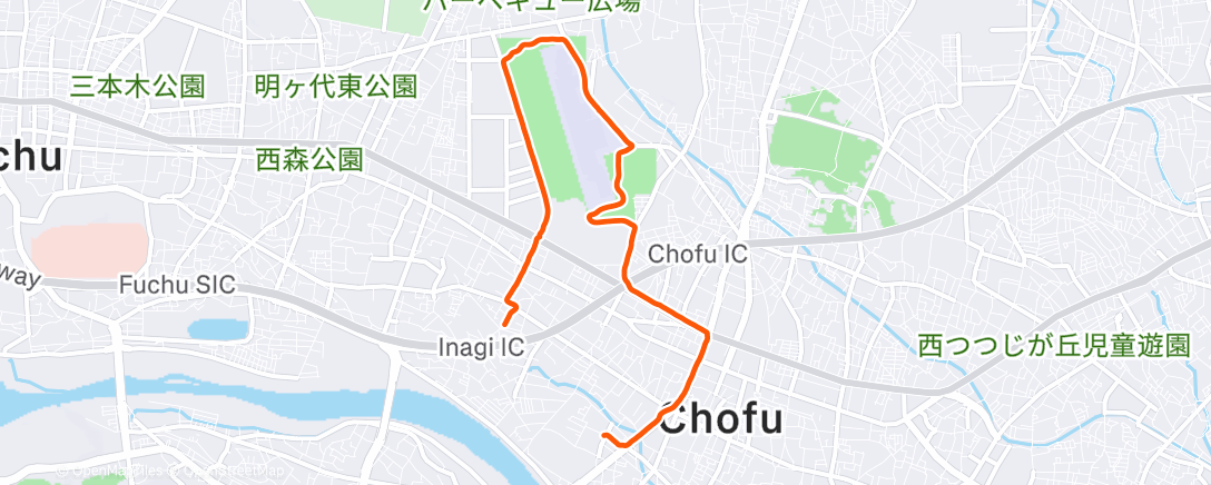 Map of the activity, Morning Run