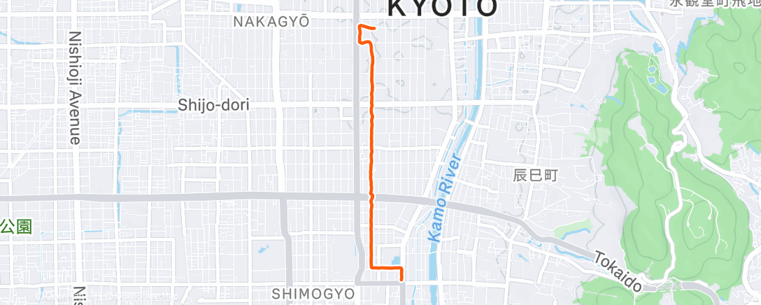 Map of the activity, 午後のランニング