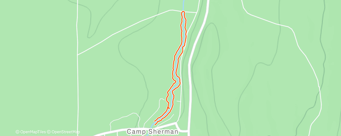 Карта физической активности (Afternoon Walk)