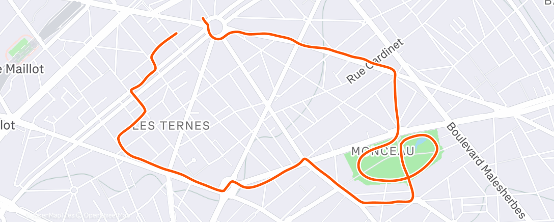 Карта физической активности (Tour de monceau avec marine : run#1)