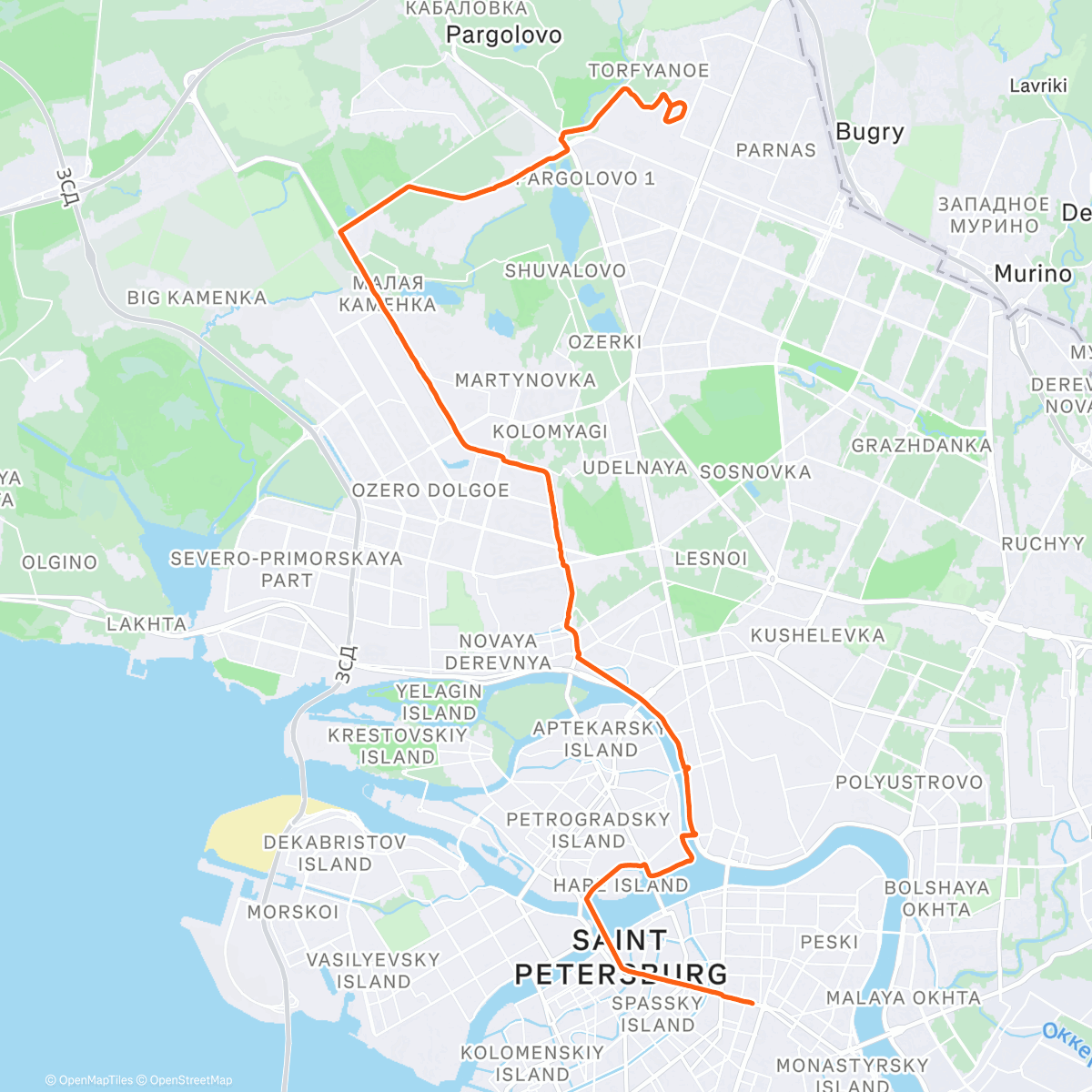 Карта физической активности (Long Run)