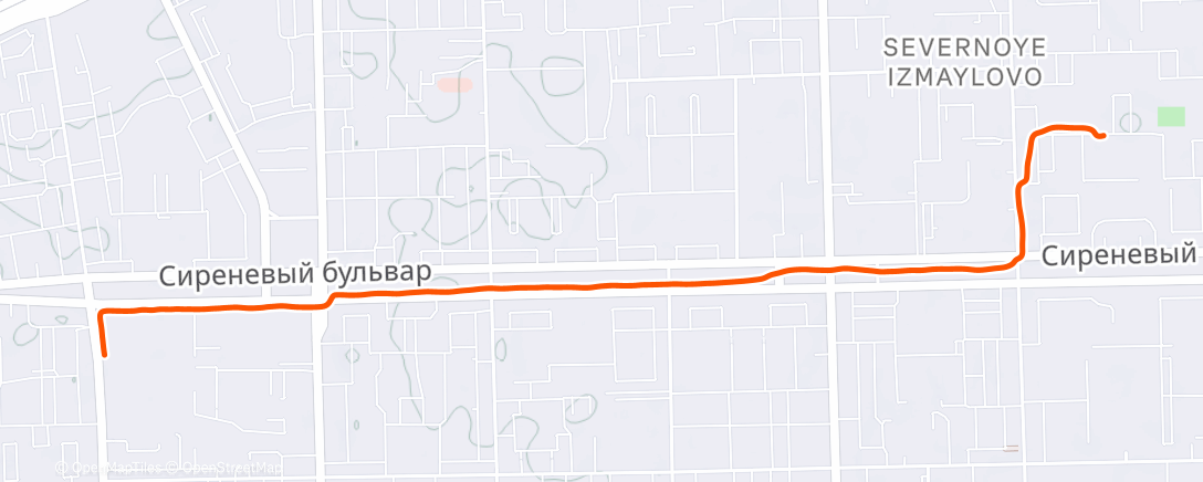 Map of the activity, Morning Run