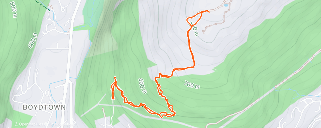 Map of the activity, Morning Walk