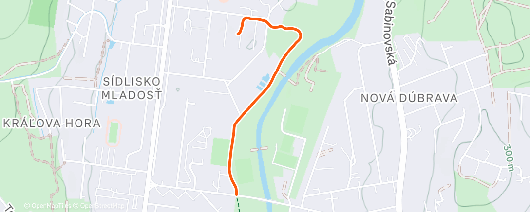Map of the activity, Morning Run