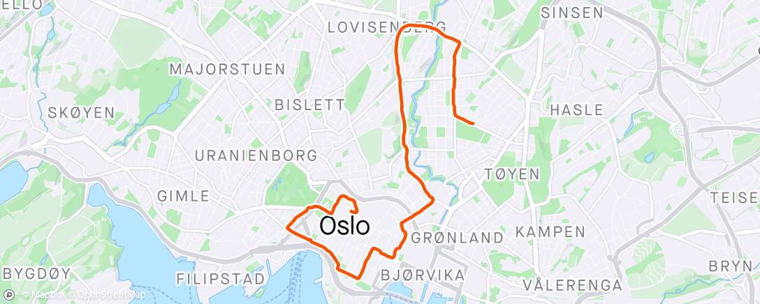 Map of the activity, Oslo - Tempo