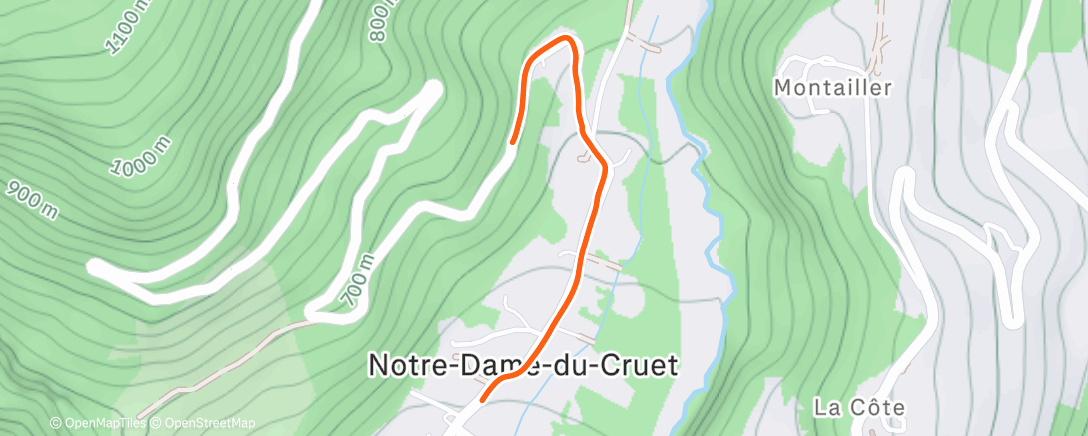 Карта физической активности (Afternoon Walk)