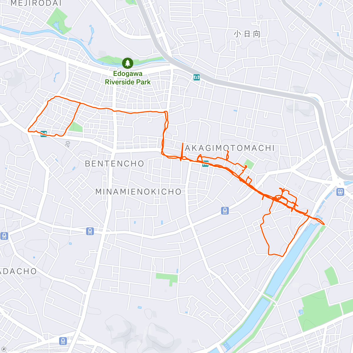Map of the activity, Afternoon walk
