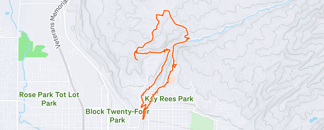 Map of the activity, Morning Run