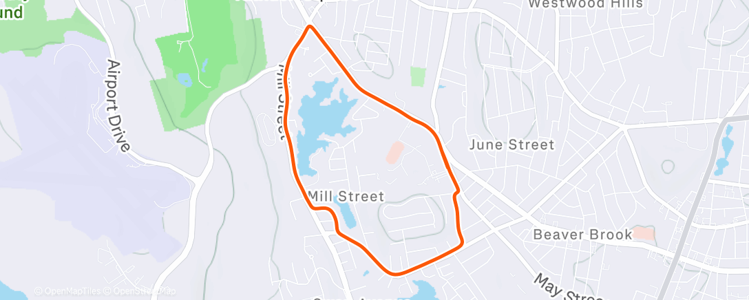 Map of the activity, Morning Run