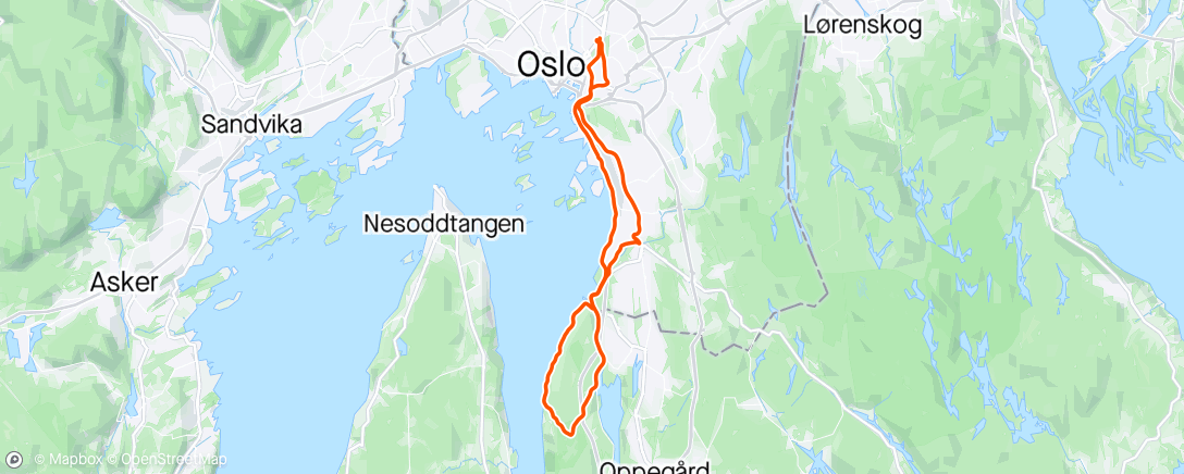 Mappa dell'attività Forsøk på å røke ut alle skadene pt 129