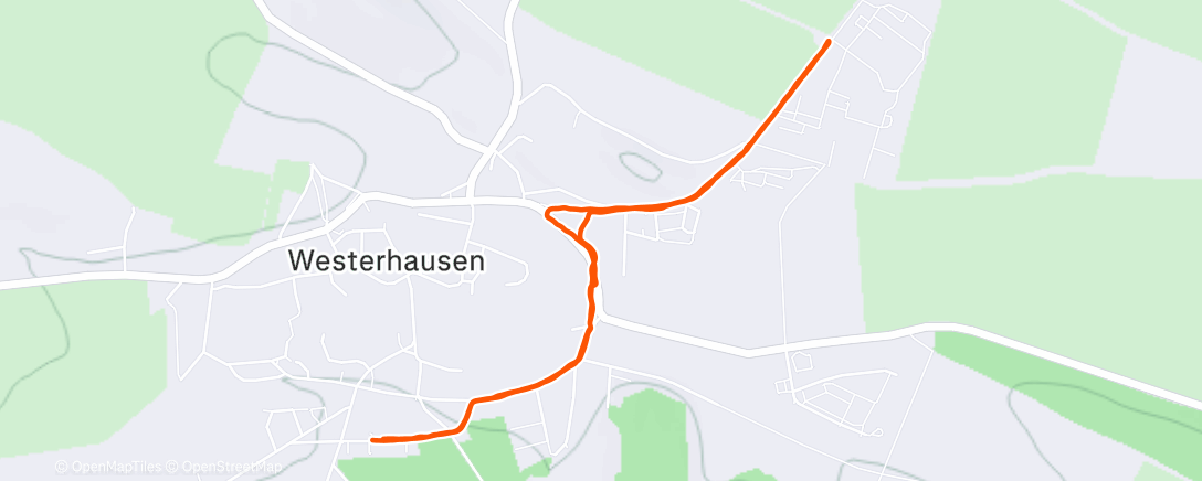 Map of the activity, Evening Run