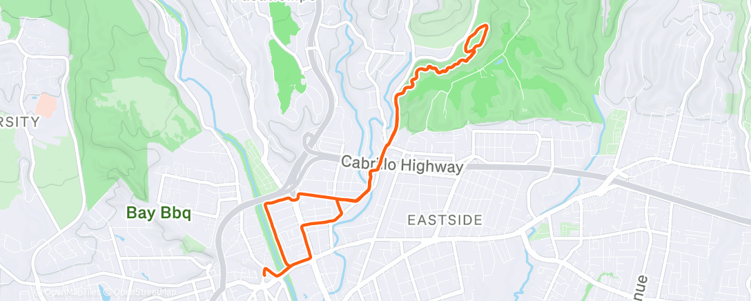 Map of the activity, Morning Run