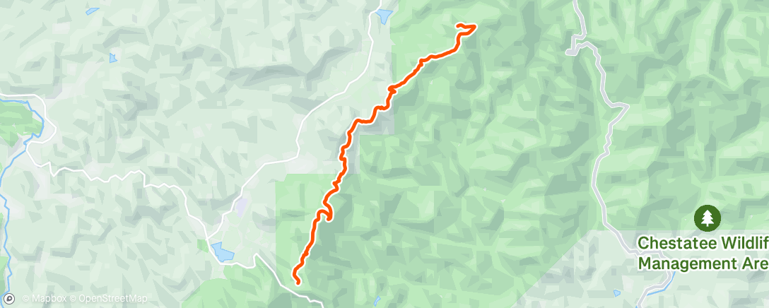 Map of the activity, Morning Hike