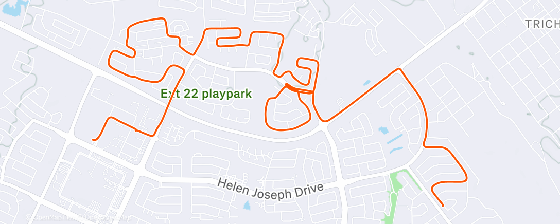 Карта физической активности (Morning Ride)