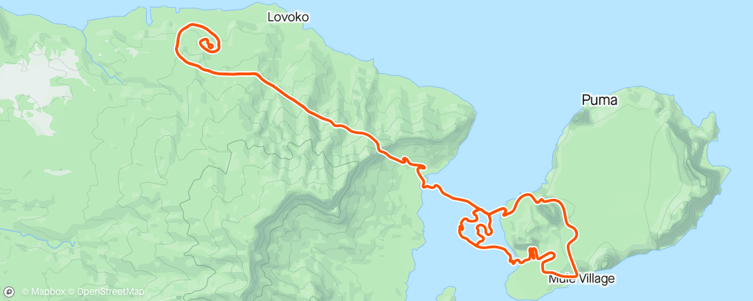Карта физической активности (Climb Portal: Puy de Dome at 100% Elevation in Watopia)