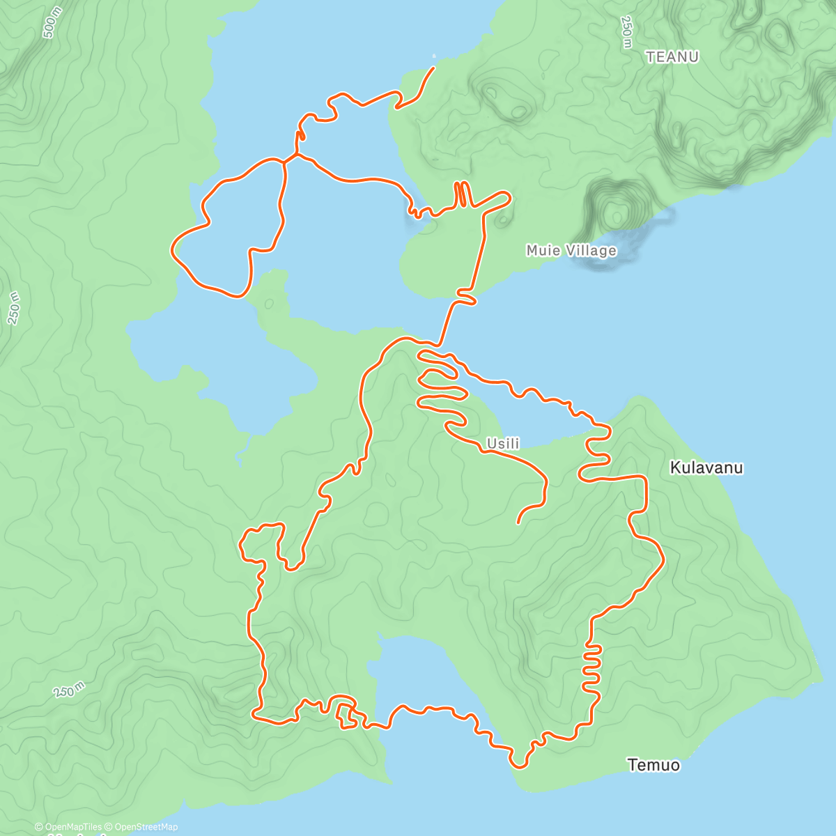 Map of the activity, Zwift - ZG25 Queen in Watopia