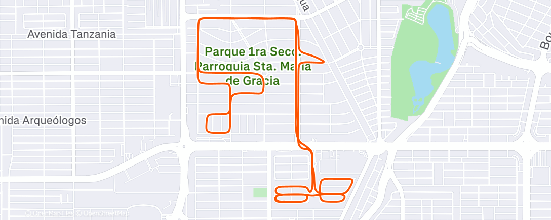 Карта физической активности (Afternoon Run)