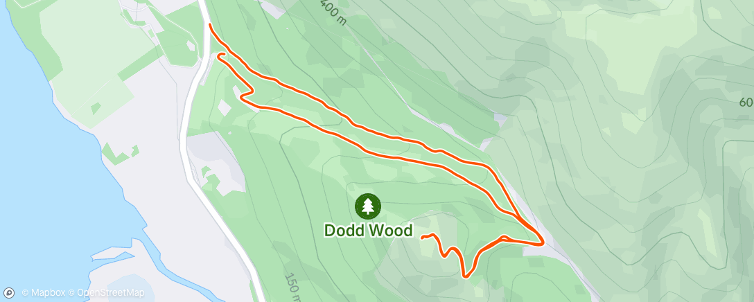 Map of the activity, Dodd, fog and dark meant couldn’t see a thing. Very tentative descent😂