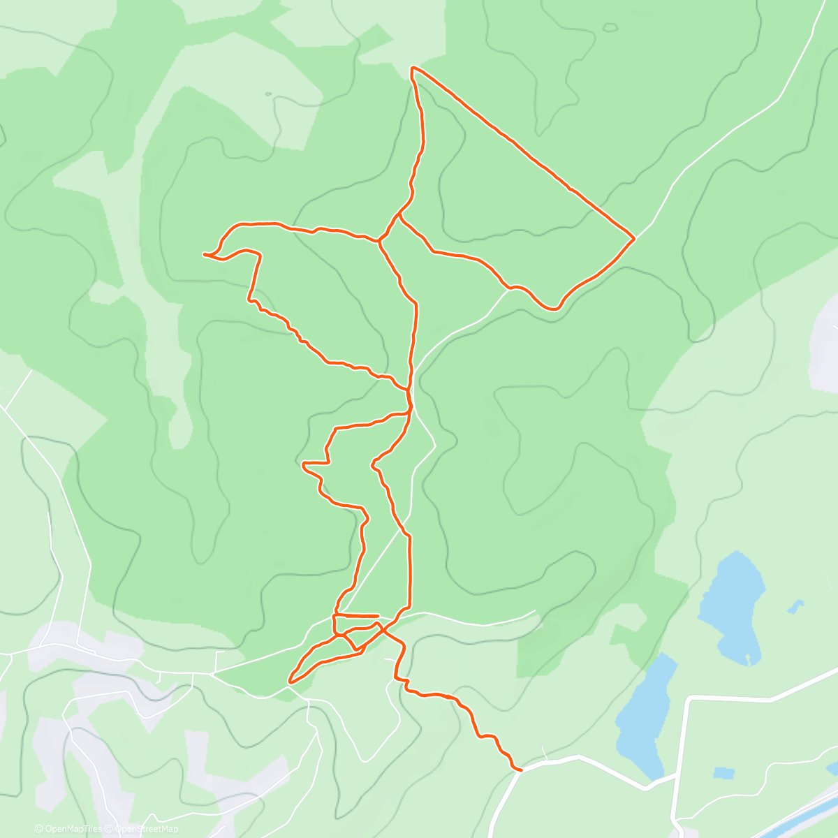 Карта физической активности (Trail Run)