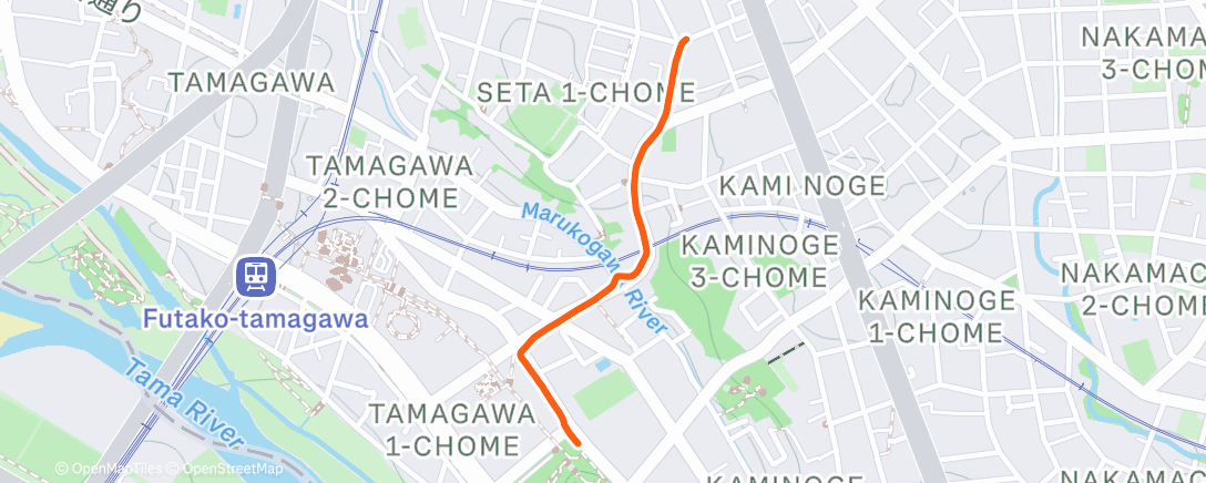 Карта физической активности (Afternoon Walk)