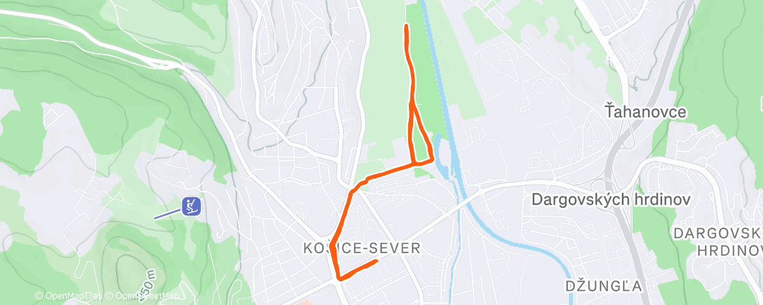 Карта физической активности (Morning Run)