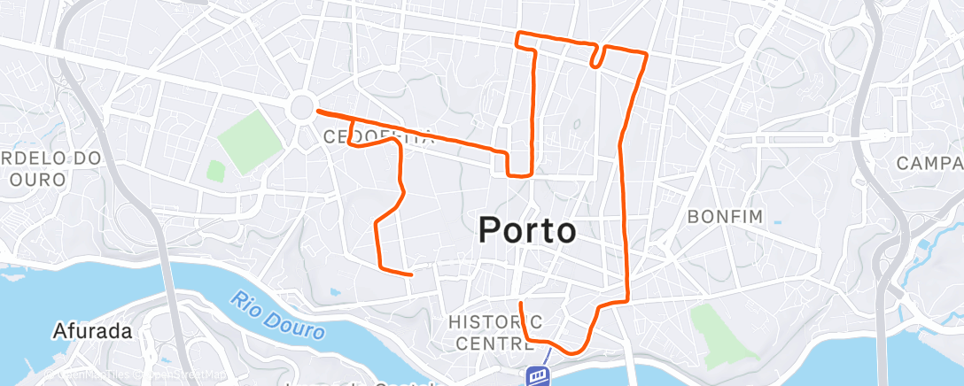 Карта физической активности (São Silvestre Porto 2025)