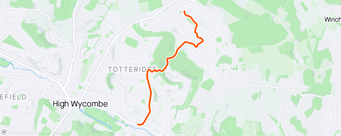 Map of the activity, Running down to Lidl so we can run back up twice as fast ;)