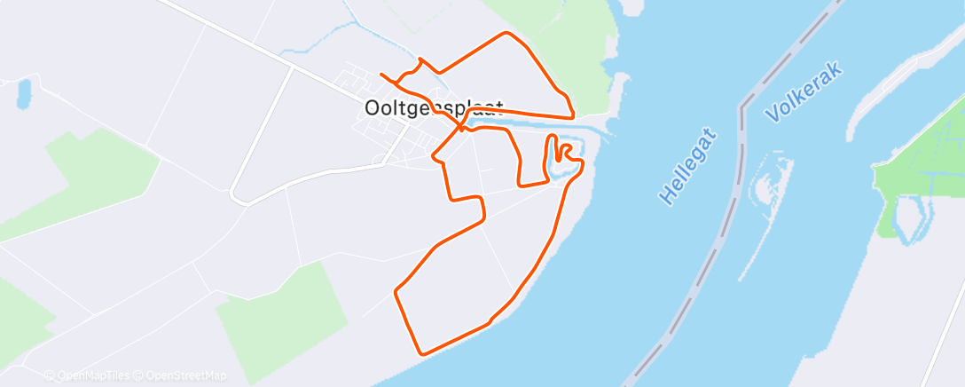 Map of the activity, Morning Walk