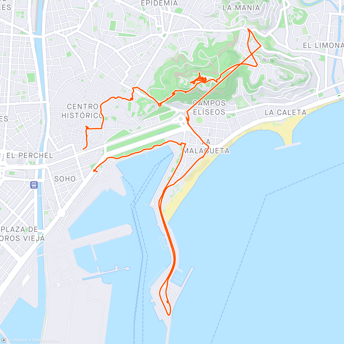 Map of the activity, Malaga by day