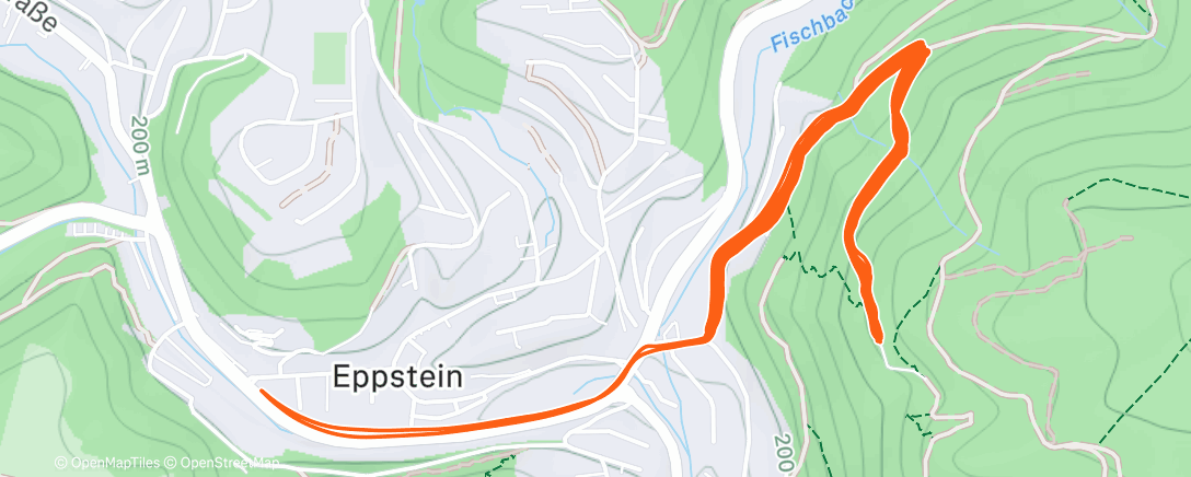 Карта физической активности (Taunustaler XMas Höhenmeter Battle)