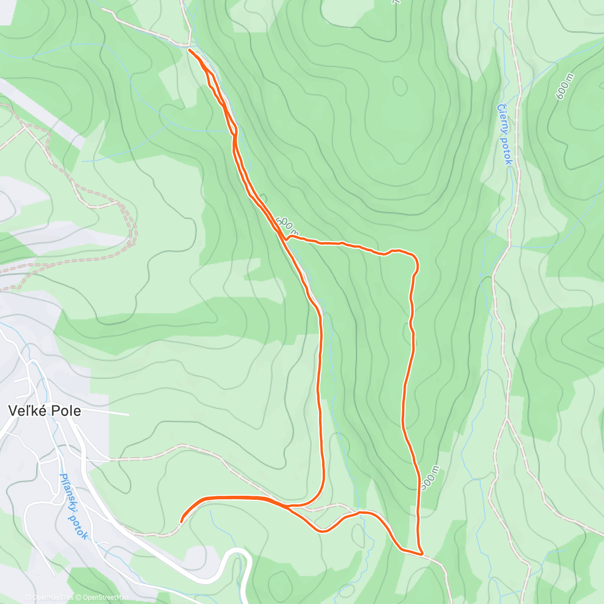 Карта физической активности (Prvy tohtorocny beh)