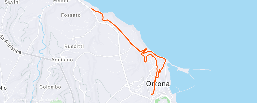 Map of the activity, Corsetta natalizia