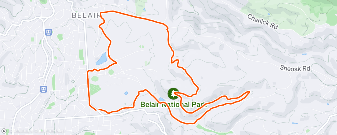 Map of the activity, Morning Run