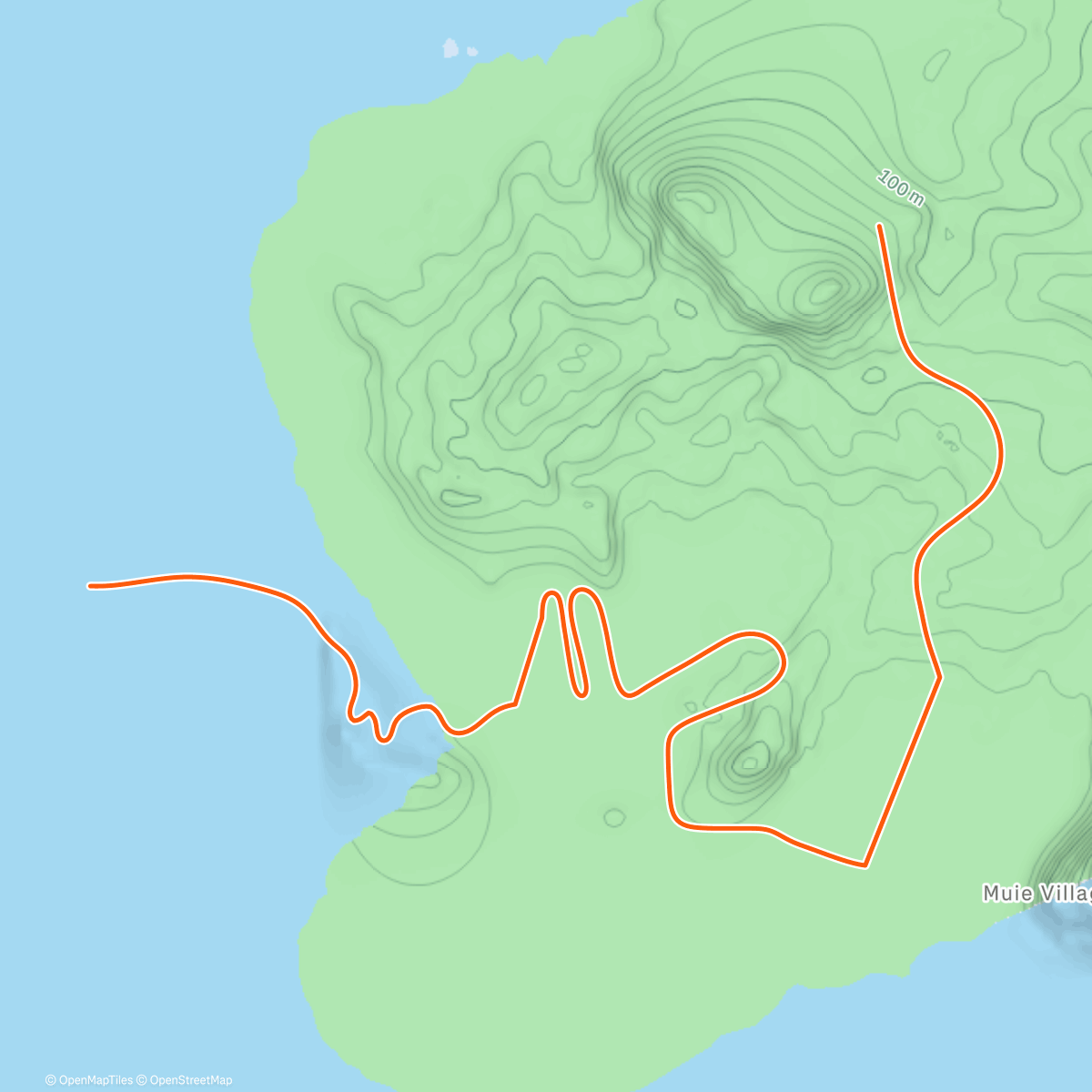 Карта физической активности (Zwift - Watopia)