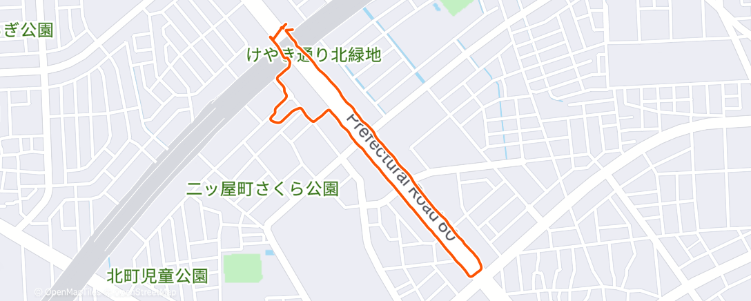 Map of the activity, お買い物ウォーキング