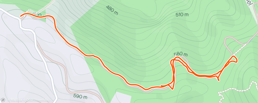 アクティビティ「Traillauf am Nachmittag」の地図