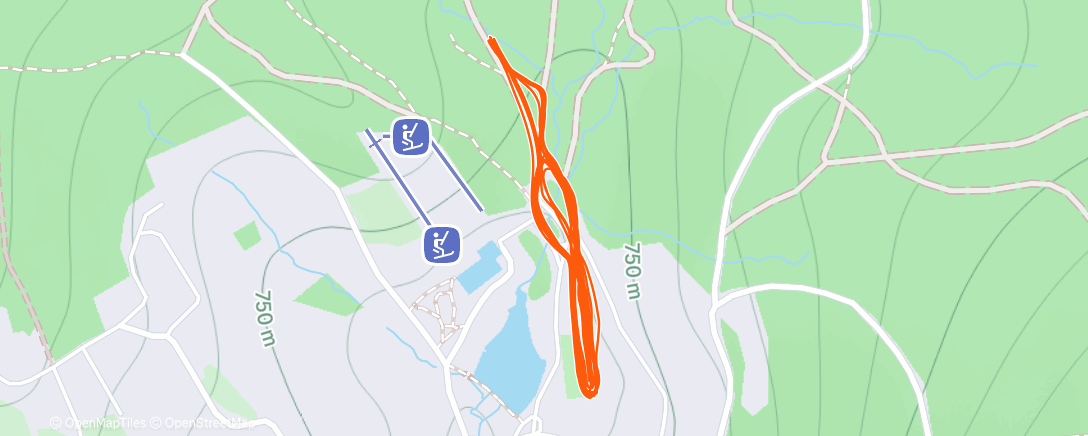 Карта физической активности (Skate)