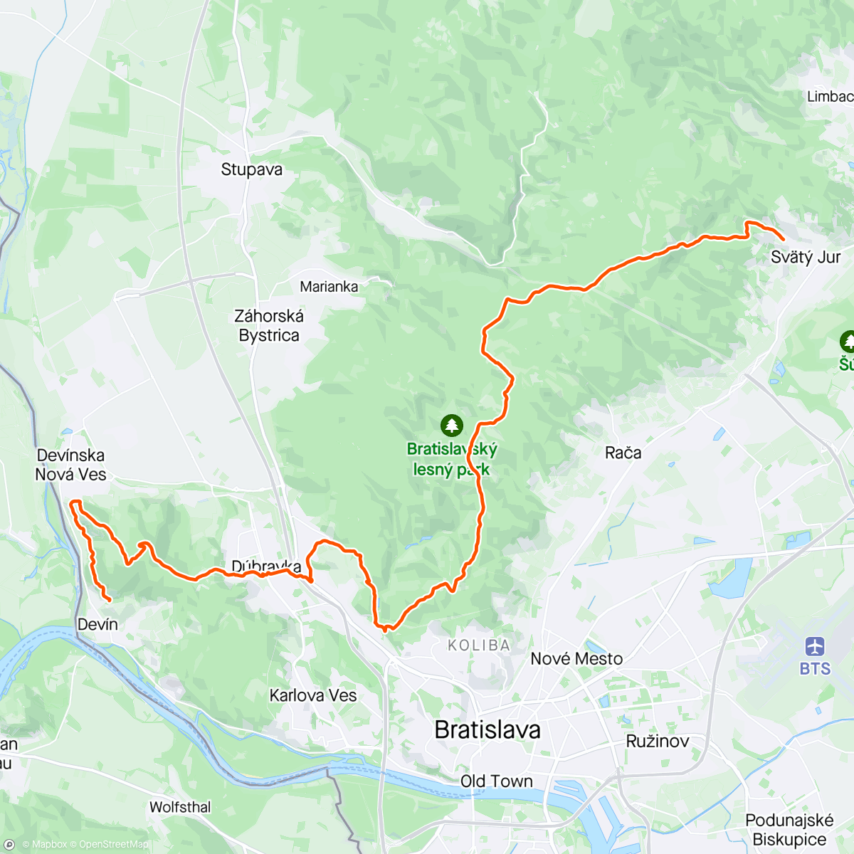 Map of the activity, Devinska 37