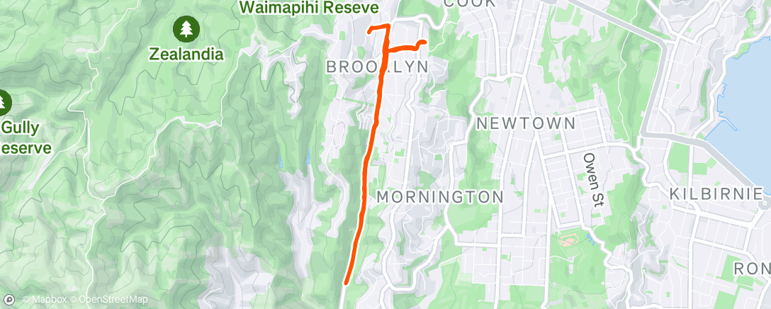 Map of the activity, Evening Run