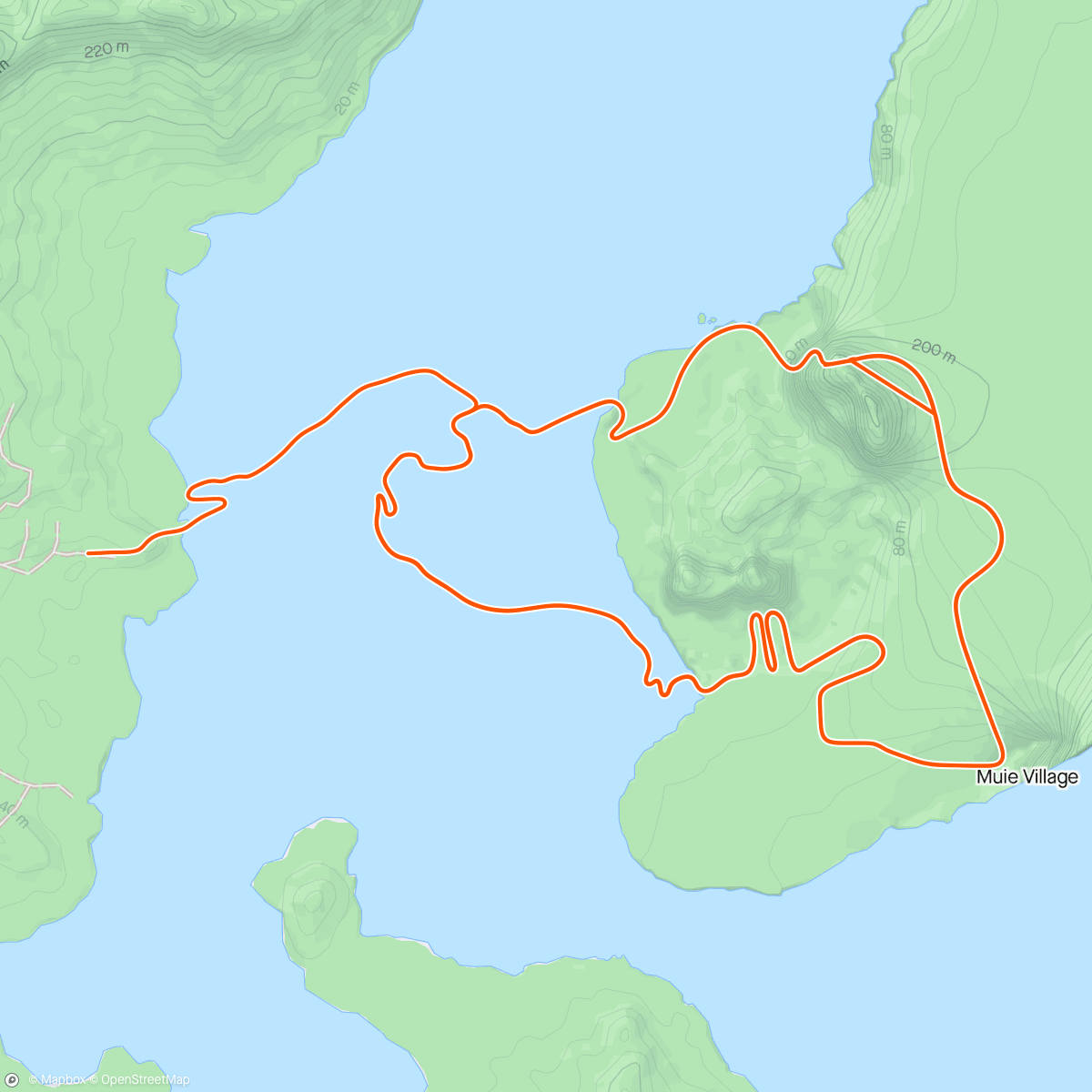 Mapa de la actividad (Zwift - Pacer Group Ride: Volcano Flat in Watopia with Jacques)