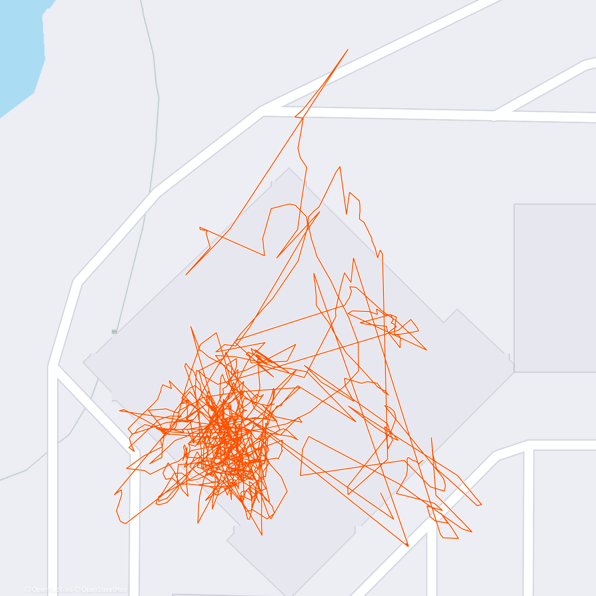 Карта физической активности (Boulder gym with fam)