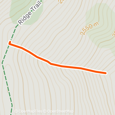 Shlushman's Ravine | 0.2 mi Backcountry Skiing Route on Strava